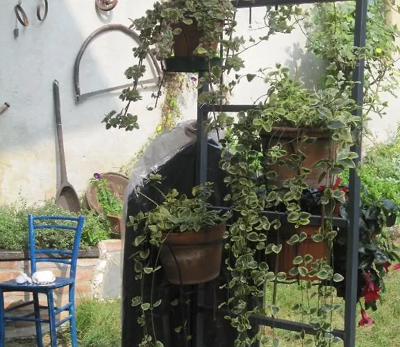 Emilia Oda ve Kahvaltı Roppolo